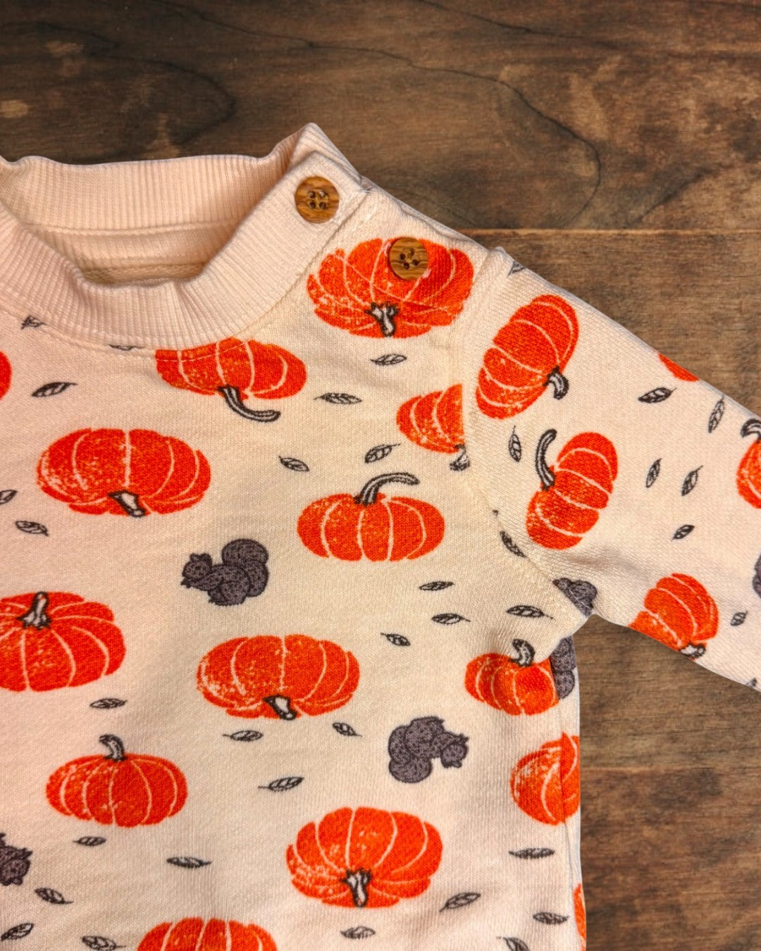 (3M) Little Planet Baby Organic Cotton Harvest 2-Piece Set