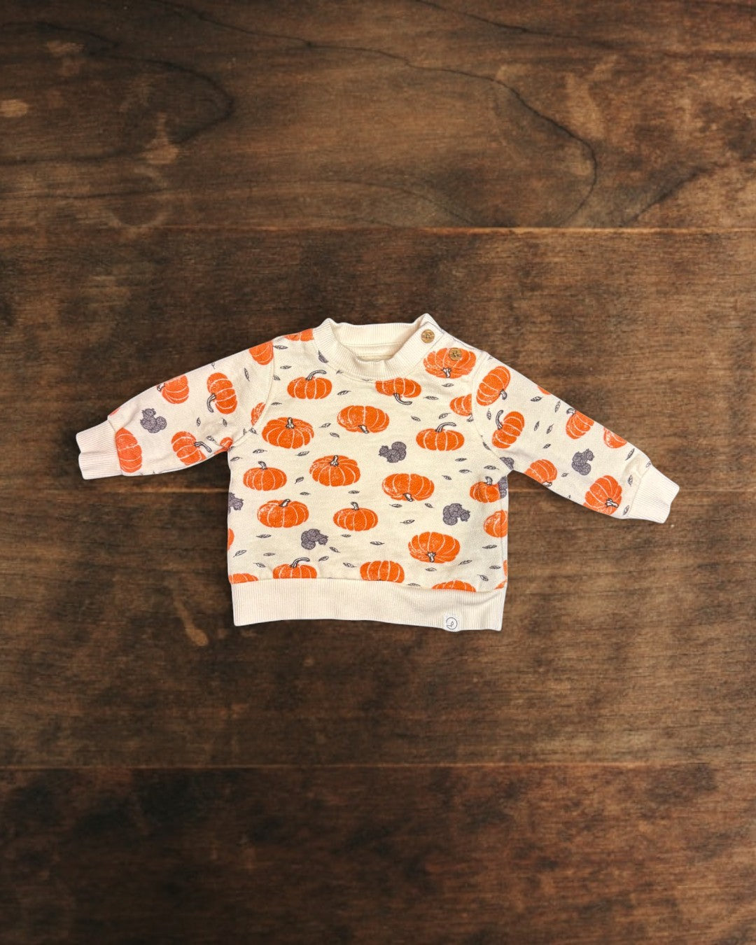 (3M) Little Planet Baby Organic Cotton Harvest 2-Piece Set